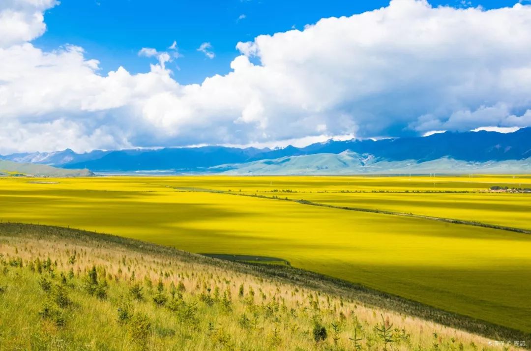 青海，梦想翱翔的天地舞台