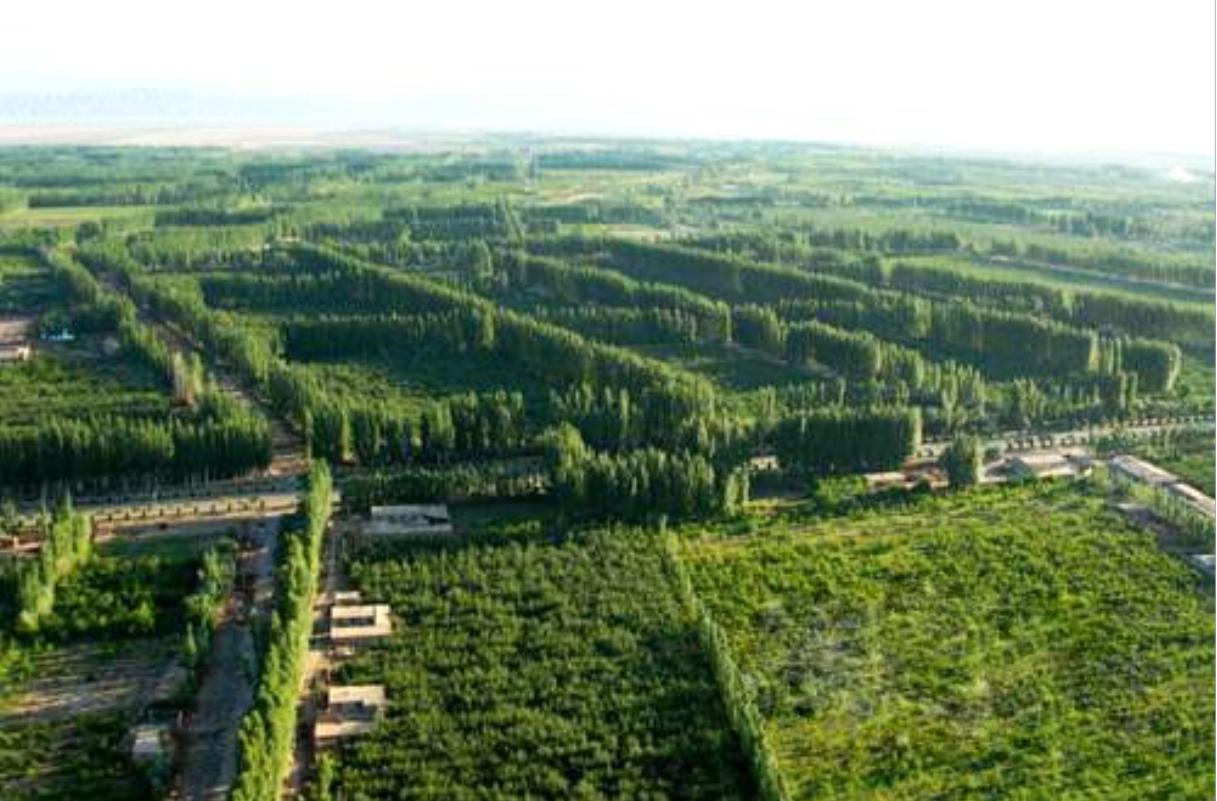 丝路明珠，新疆——多元文化交融的瑰宝