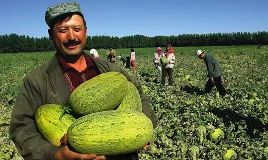 丝路明珠,新疆——多元文化交融的瑰宝